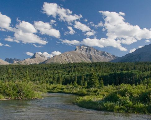 Southwest Alberta fishing on the Crowsnest River